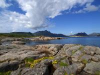 Landschaft an der Hellvika bei Stamsund - Lofoten